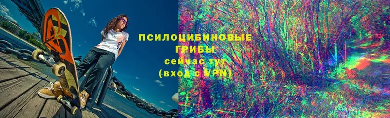 кракен сайт  Знаменск  Псилоцибиновые грибы ЛСД  хочу  